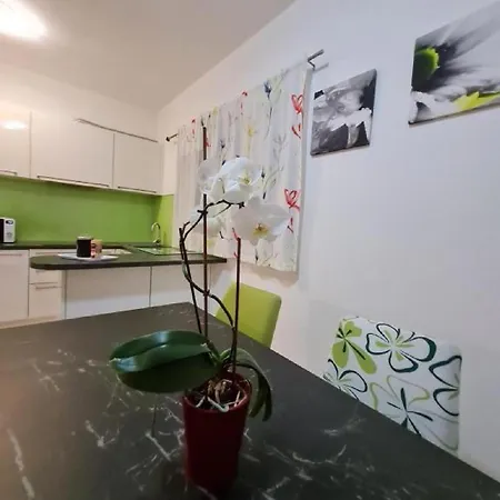 Luxury Ani Brac S Bazenom I Jacuzzijem Apartment *